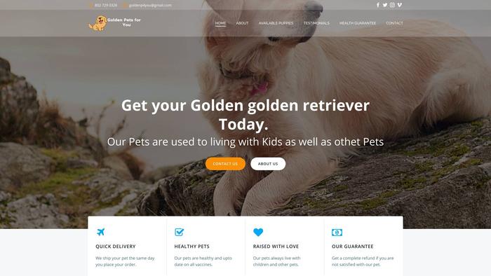 Goldenp4you.com - Golden Doodle Puppy Scam Review