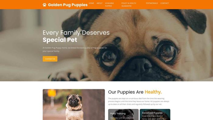 Goldenpugpuppyhome.com - Pug Puppy Scam Review