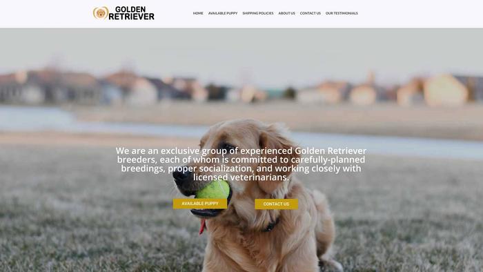 Goldenretriever4home.com - Golden Retriever Puppy Scam Review