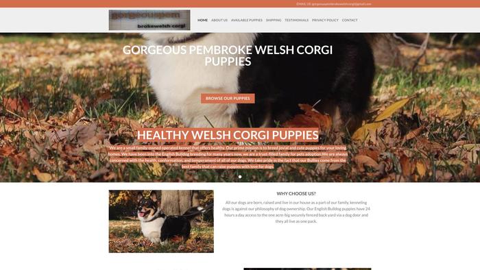 Gorgeouspembrokewelshcorgi.com - Corgi Puppy Scam Review