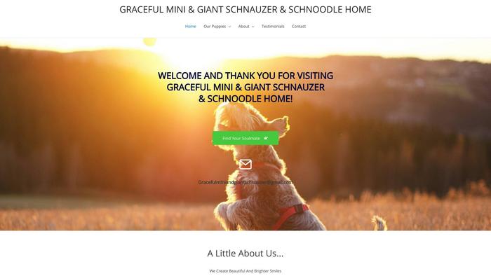 Gracefulminiandgiantschnauzerhome.com - Schnauzer Puppy Scam Review