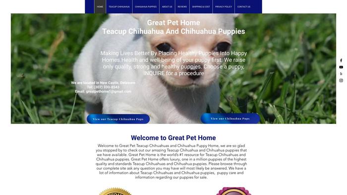 Greatpethome.com - Chihuahua Puppy Scam Review