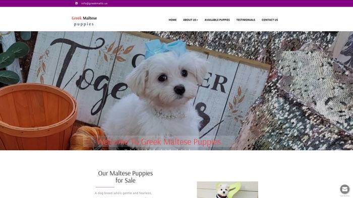 Greekmalts.us - Maltese Puppy Scam Review