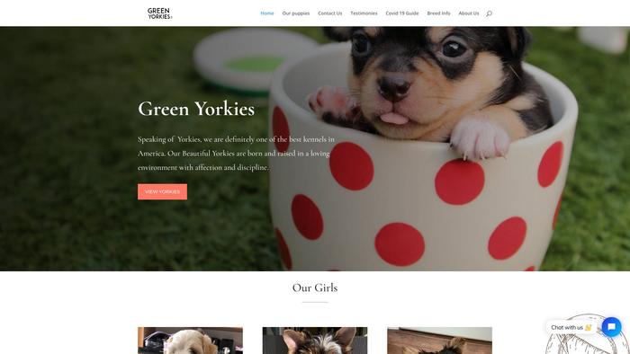 Greenyorkies.com - Yorkshire Terrier Puppy Scam Review