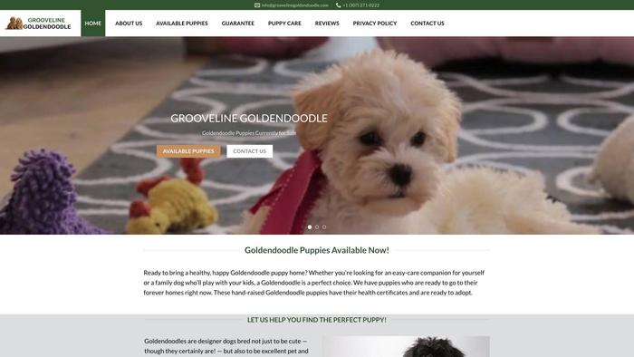 Groovelinegoldendoodle.com - Golden Doodle Puppy Scam Review