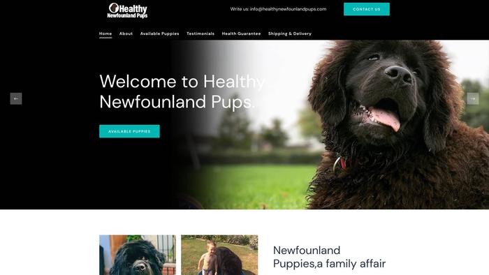 Healthynewfounlandpups.com - Saint Bernard Puppy Scam Review