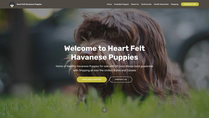 Heartfelthavanesepuppies.com - Havanese Puppy Scam Review