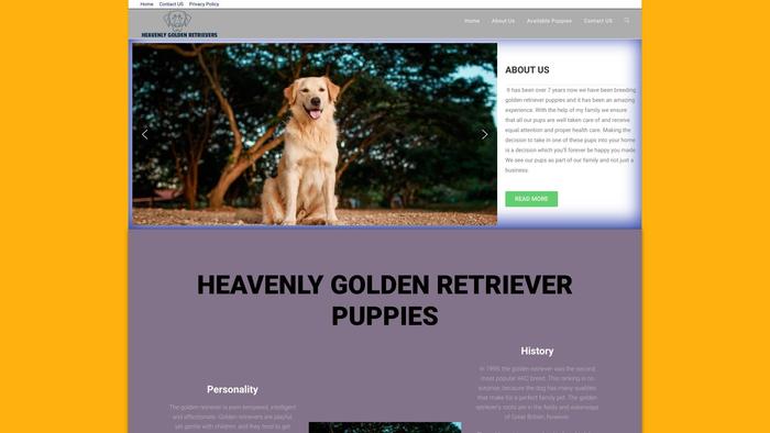 Heavenly-goldenretrieverpuppies.com - Golden Retriever Puppy Scam Review