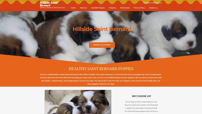 Hillsidebernards.com - Saint Bernard Puppy Scam Review