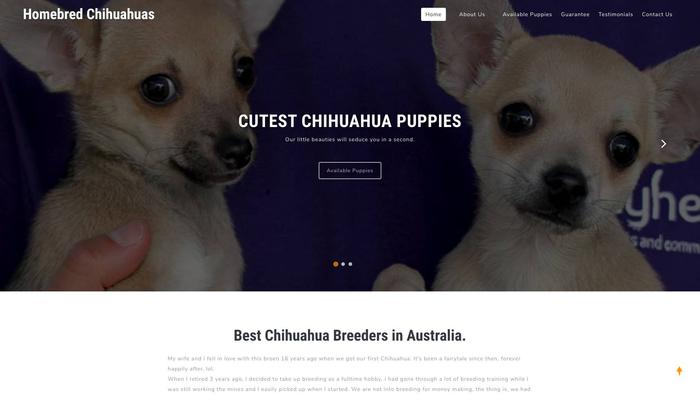 Homebredchihuahuas.com - Chihuahua Puppy Scam Review