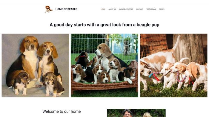 Homeofbeagle.com - Beagle Puppy Scam Review