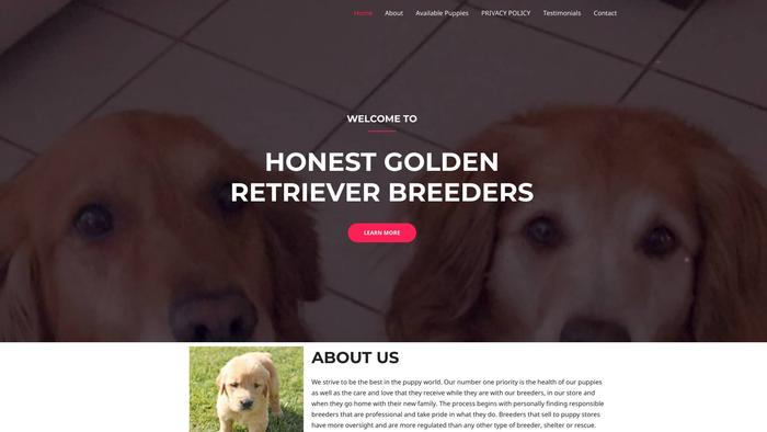 Honestgoldenretrieversforsale.com - Golden Retriever Puppy Scam Review