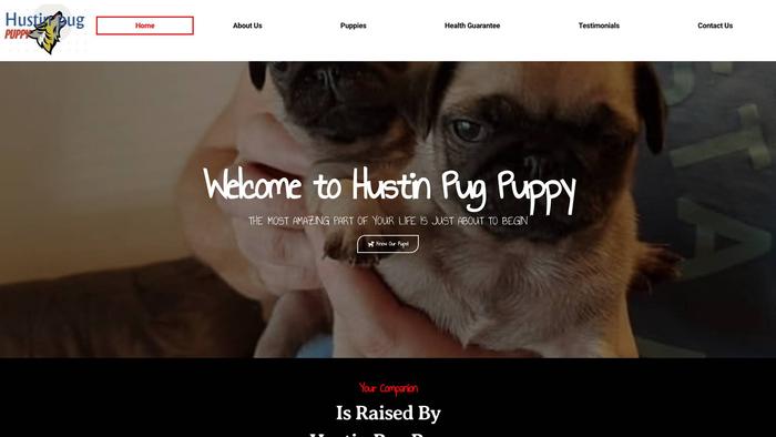 Hustinpugpuppy.com - Pug Puppy Scam Review