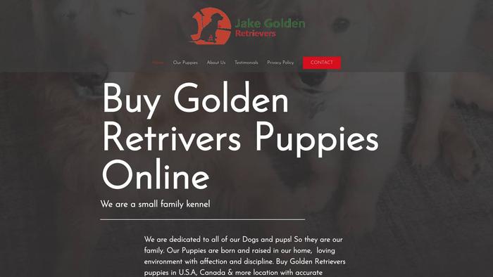 Jakegoldenretrievers.com - Golden Retriever Puppy Scam Review