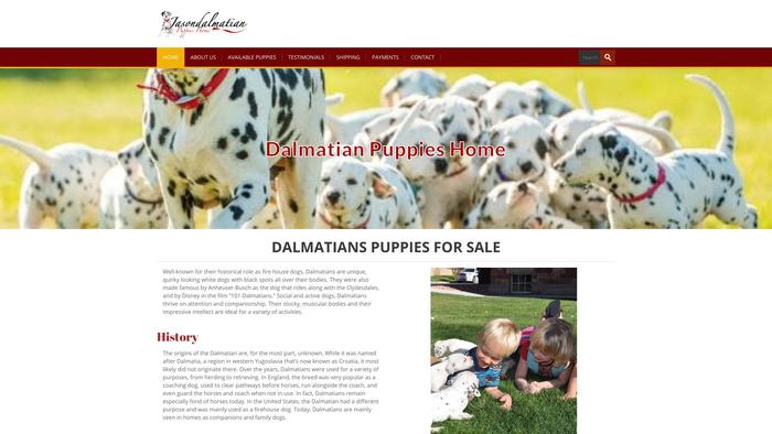 Jasondalmatians.com - Labrador Puppy Scam Review