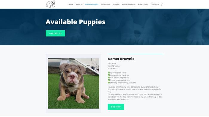 Jessysenglishbulldogpuppies.com - English Bulldog Puppy Scam Review