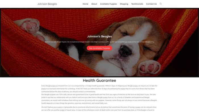 Johnsonbeagle.com - Beagle Puppy Scam Review