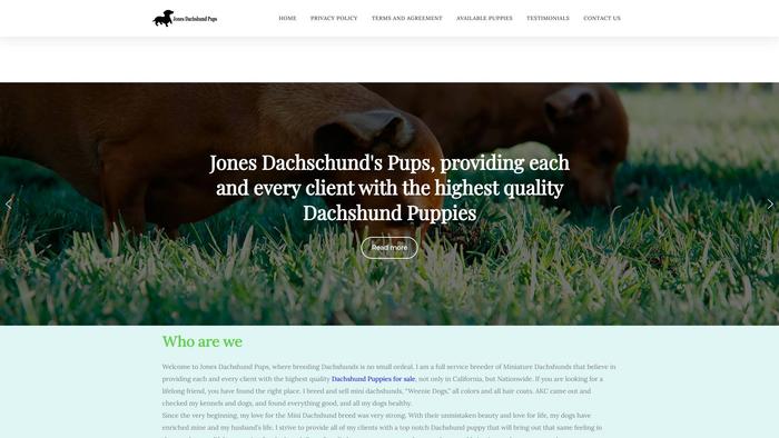 Jonesdachshundpups.com - Dachshund Puppy Scam Review