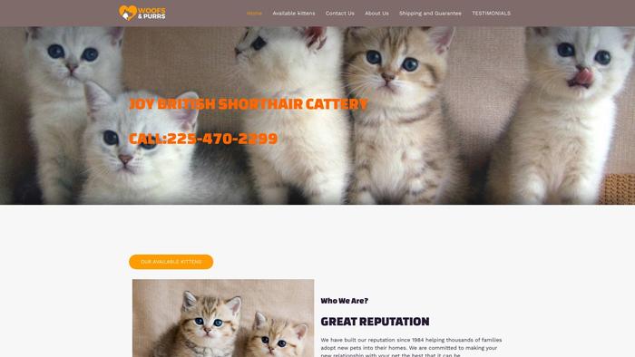 Joybritishshorthair.com - British Shorthair Puppy Scam Review