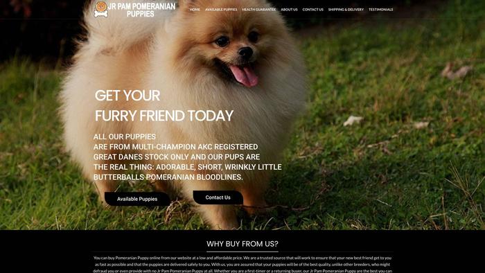 Jrpampomeranianpuppies.com - Pomeranian Puppy Scam Review