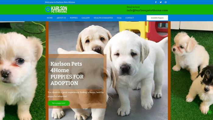 Karlsonpets4home.com - Labrador Puppy Scam Review