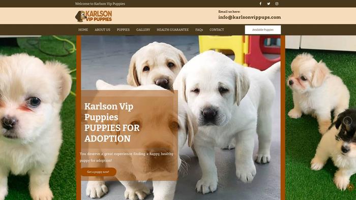 Karlsonvippups.com - Shihtzu Puppy Scam Review