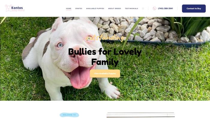 Kontosbullyworld.com - English Bulldog Puppy Scam Review