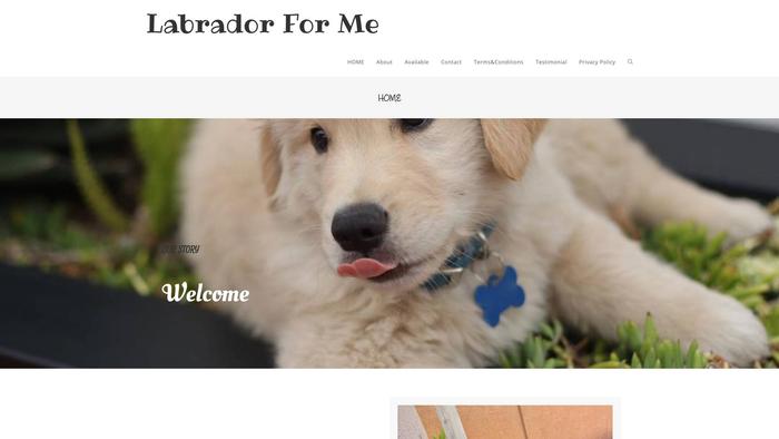 Labradorforme.com - Labrador Puppy Scam Review