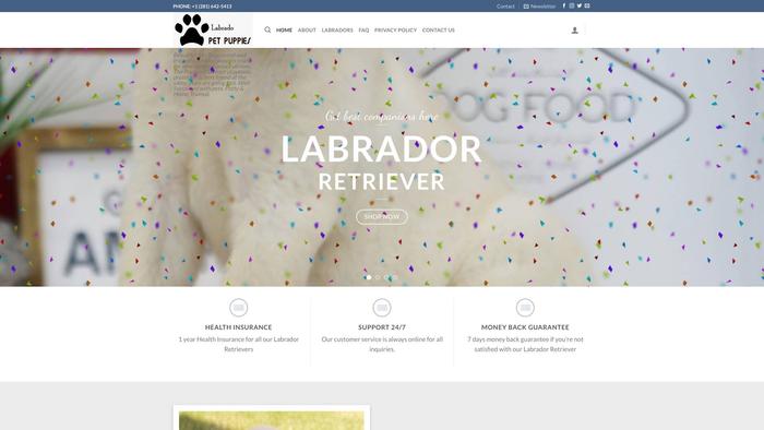 Labradorpetpuppies.com - Labrador Puppy Scam Review