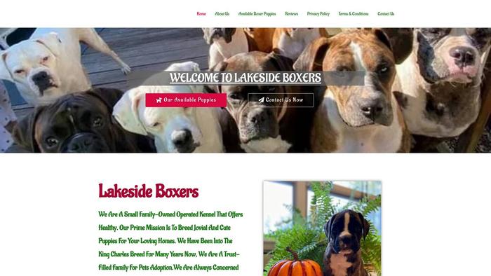 Lakesideboxers.com - Boxer Puppy Scam Review