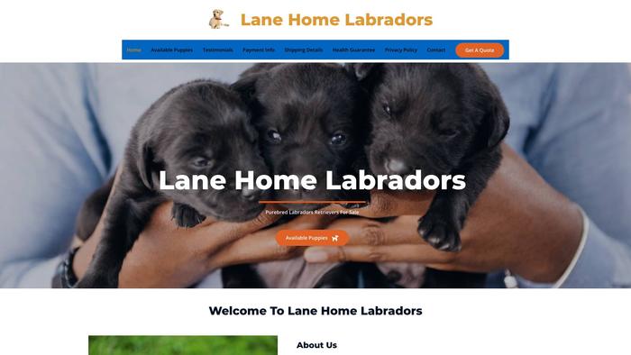 Lanehomelabradors.com - Golden Retriever Puppy Scam Review