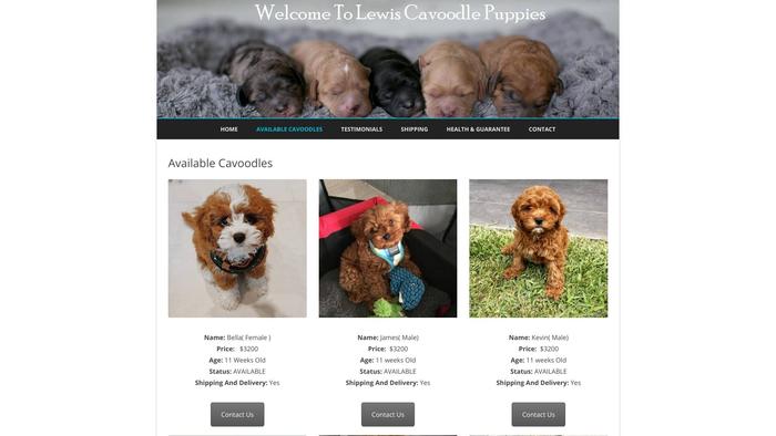 Lewiscavoodlepuppies.com - Cavapoo Puppy Scam Review