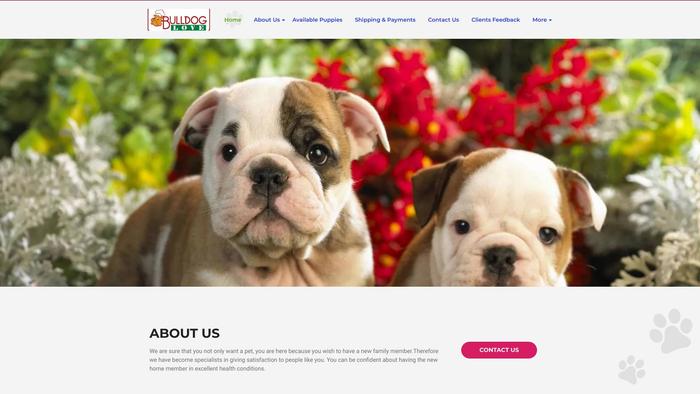 Lilacbulldoglove.com - Bulldog Puppy Scam Review