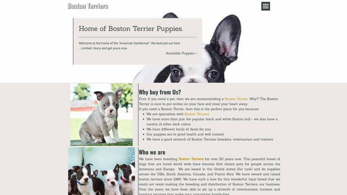 Lovelybostonterriers.com - Terrier Puppy Scam Review