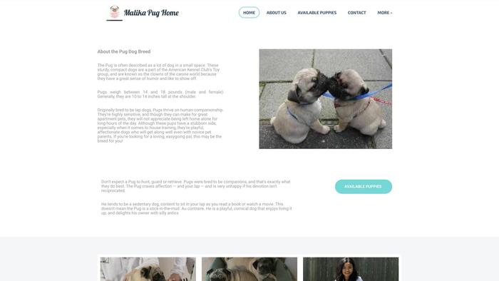 Malikapugpuppies.com - Pug Puppy Scam Review