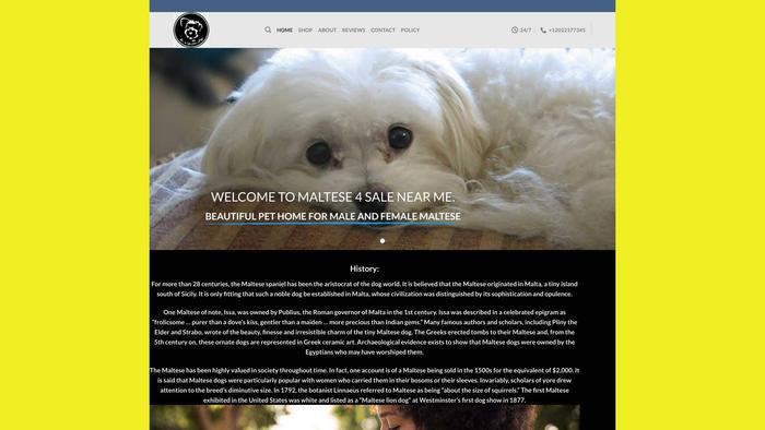 Maltese4salenearme.com - Maltese Puppy Scam Review