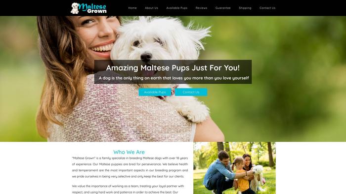 Maltesegrown.com - Maltese Puppy Scam Review