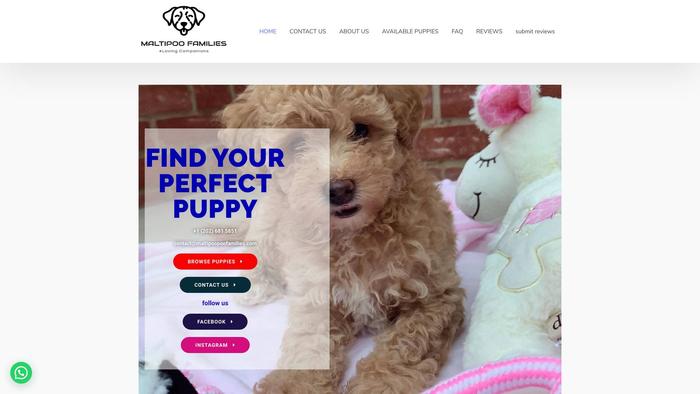 Maltipoofamilies.com - Maltipoo Puppy Scam Review