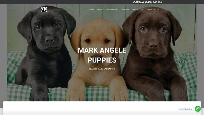 Markangleteacups.com - Labrador Puppy Scam Review