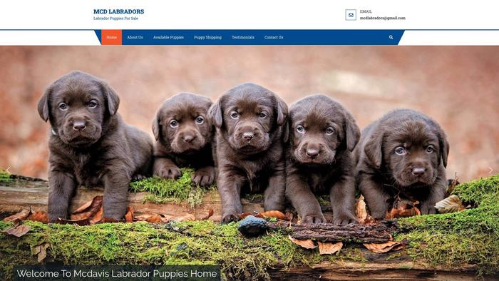 Mcdlabradors.com - Labrador Puppy Scam Review