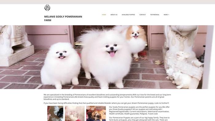 Melanieteacuppomeranian.com - Pomeranian Puppy Scam Review