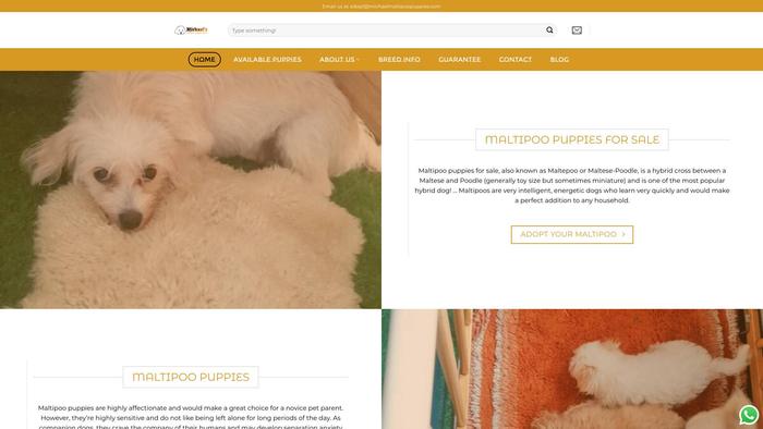 Michaelmaltipoopuppies.com - Maltipoo Puppy Scam Review