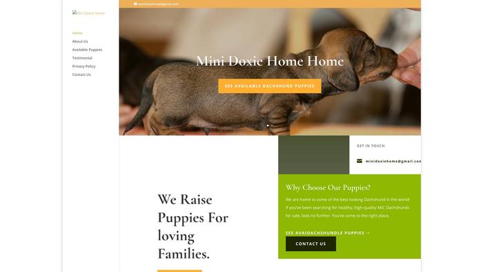 Minidoxiehome.com - Dachshund Puppy Scam Review