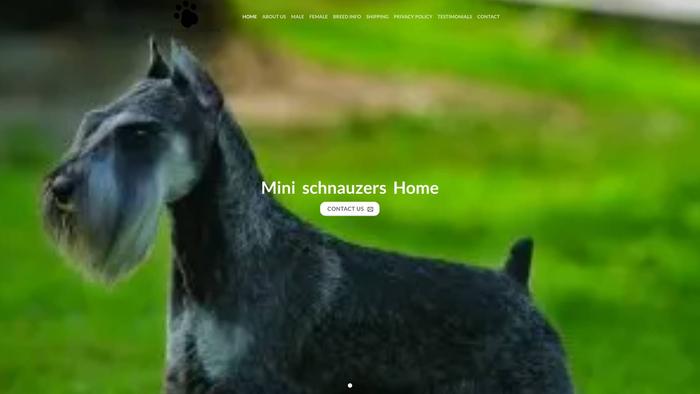 Minischnauzershome.com - Schnauzer Puppy Scam Review