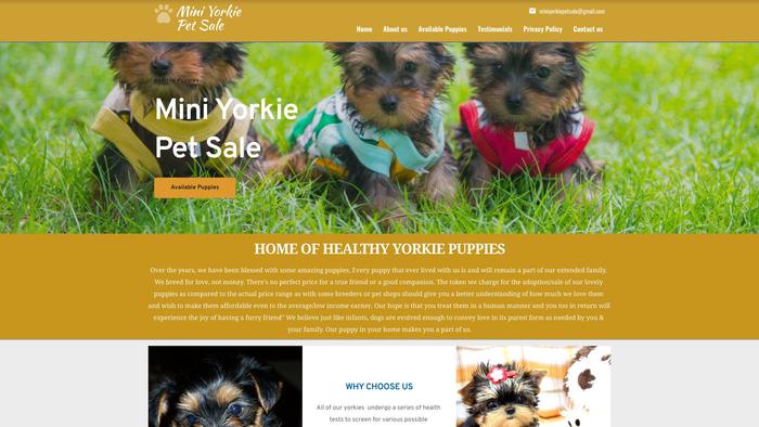 Miniyorkiepetsale.com - Beagle Puppy Scam Review