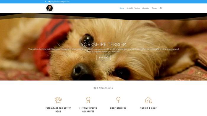 Miniyorkshire.com - Terrier Puppy Scam Review