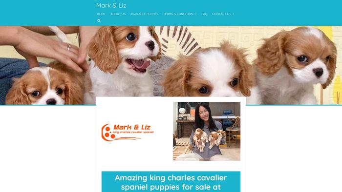 Mlcavalierpups.com - Cavalier King Charles Spaniel Puppy Scam Review