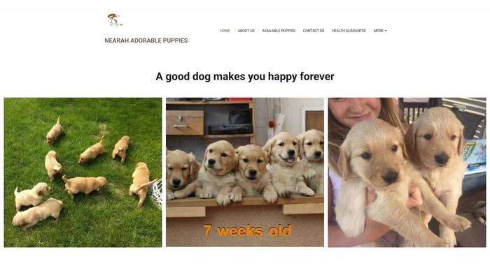 Nearahadorablepuppies.com - Golden Retriever Puppy Scam Review