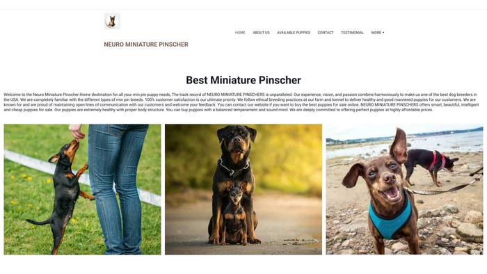 Neurominiaturepinschers.com - Doberman Pinscher Puppy Scam Review