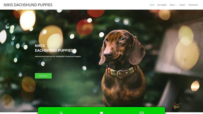 Nikisdachshundpuppies.com - Dachshund Puppy Scam Review